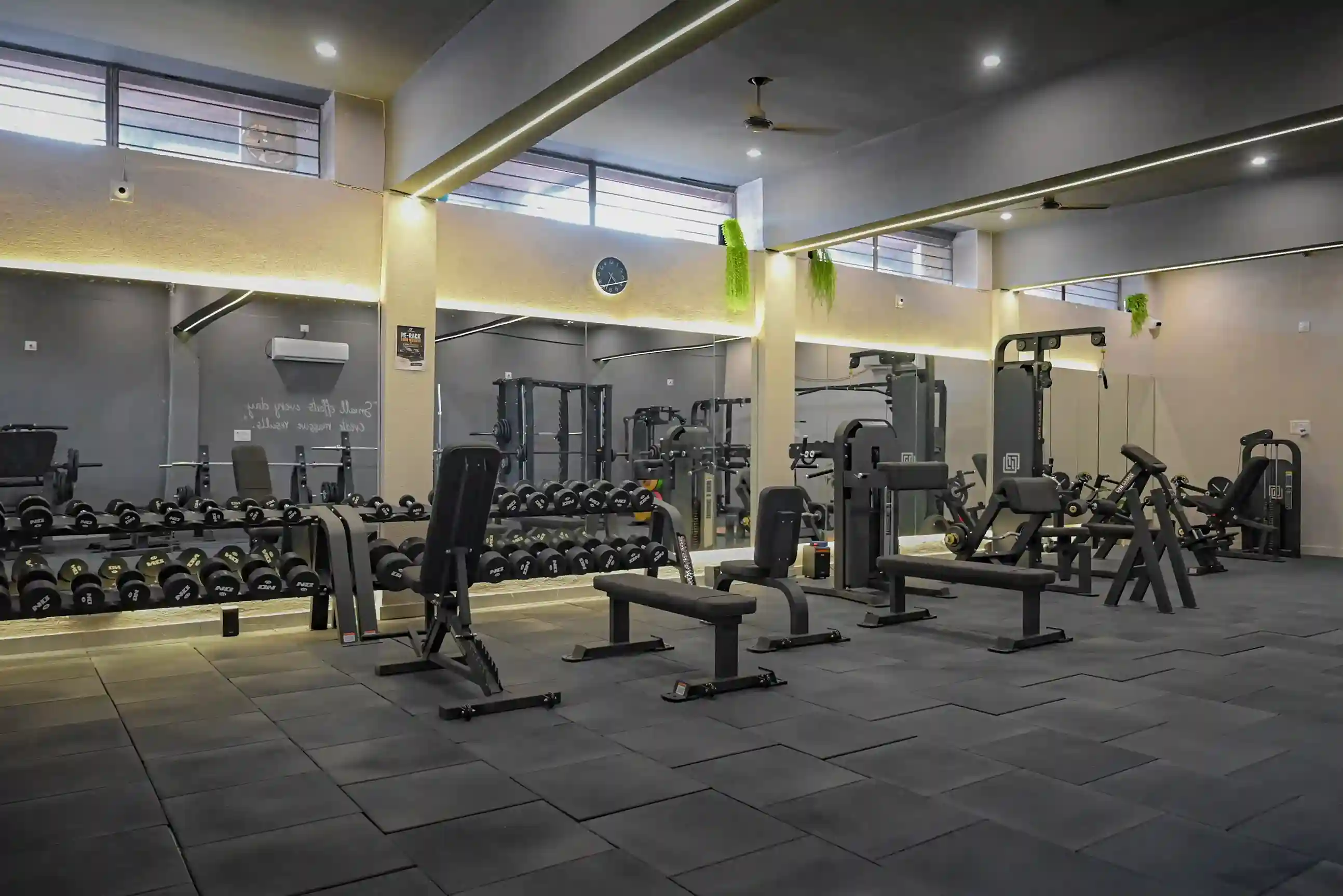 Dumbell & Barbell